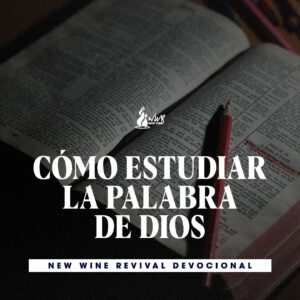 Read more about the article Cómo estudiar la Palabra de Dios