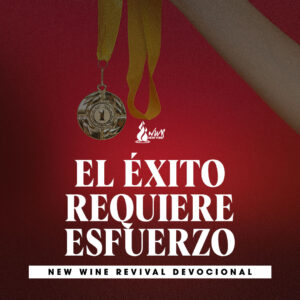 Read more about the article El éxito requiere esfuerzo