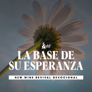 Read more about the article La base de su esperanza