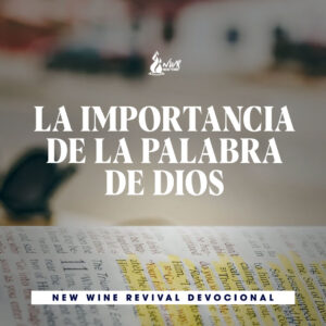 Read more about the article La importancia de la Palabra de Dios
