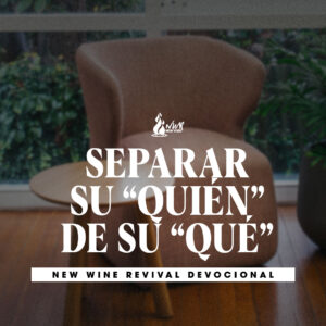 Read more about the article Separar su “quién” de su “qué”
