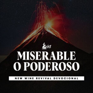 Read more about the article Miserable o poderoso