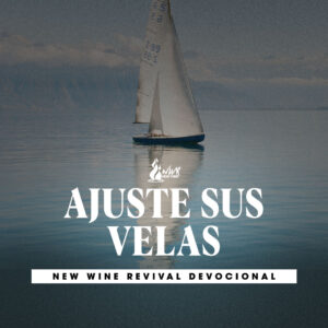 Read more about the article Ajuste sus velas