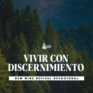 Read more about the article Vivir con discernimiento