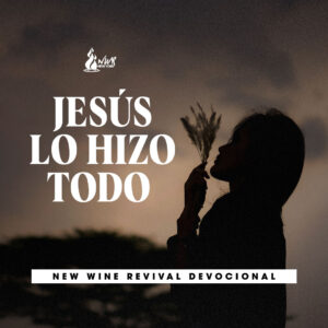 Read more about the article Jesús lo hizo todo
