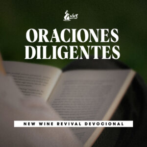 Read more about the article Oraciones diligentes