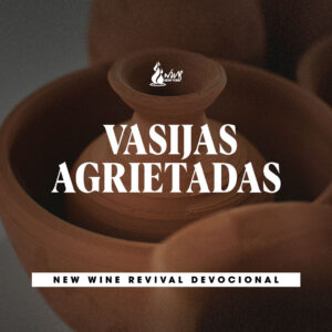 Read more about the article Vasijas agrietadas