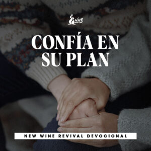 Read more about the article Confía en su plan