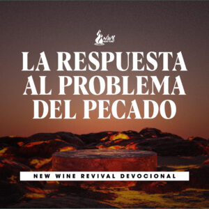 Read more about the article La respuesta al problema del pecado