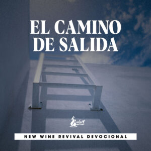 Read more about the article El camino de salida