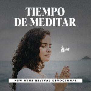 Read more about the article Tiempo de meditar