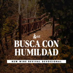 Read more about the article Busca con humildad