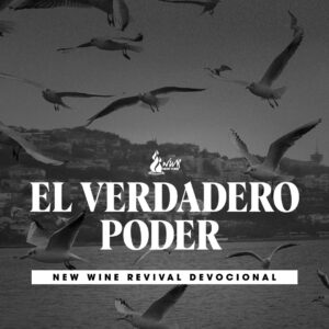 Read more about the article El verdadero poder