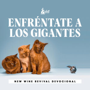 Read more about the article Enfréntate a los gigantes