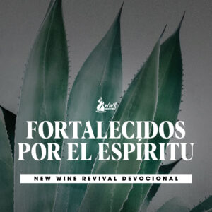Read more about the article Fortalecidos por el Espíritu