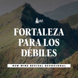 Read more about the article Fortaleza para los débiles