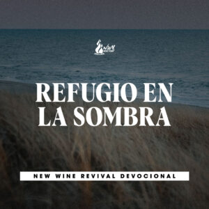 Read more about the article Refugio en la sombra