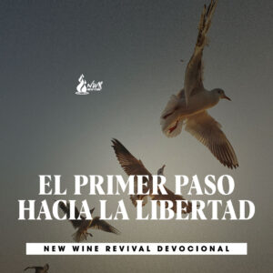 Read more about the article 08May – El primer paso hacia la libertad