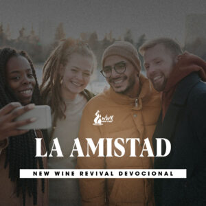 Read more about the article La amistad