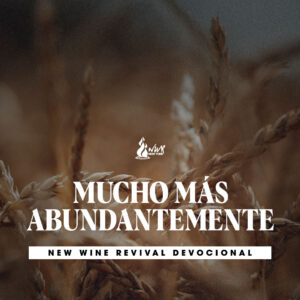 Read more about the article 09May – Mucho más abundantemente