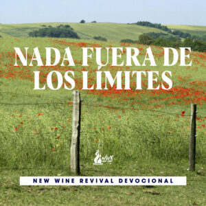 Read more about the article Nada fuera de los límites