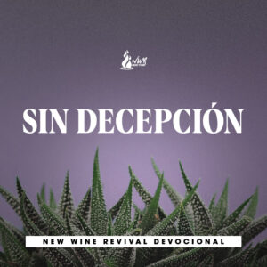 Read more about the article 15May – Sin decepción