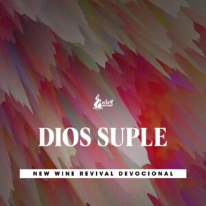 Read more about the article 29May – Dios suple