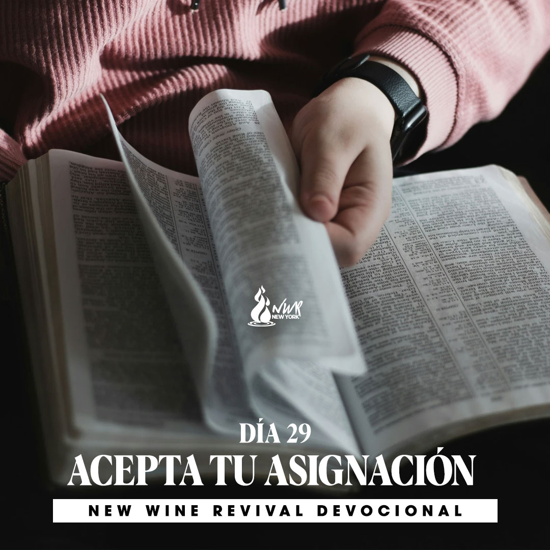 Read more about the article Día 29 • Acepta tu Asignación