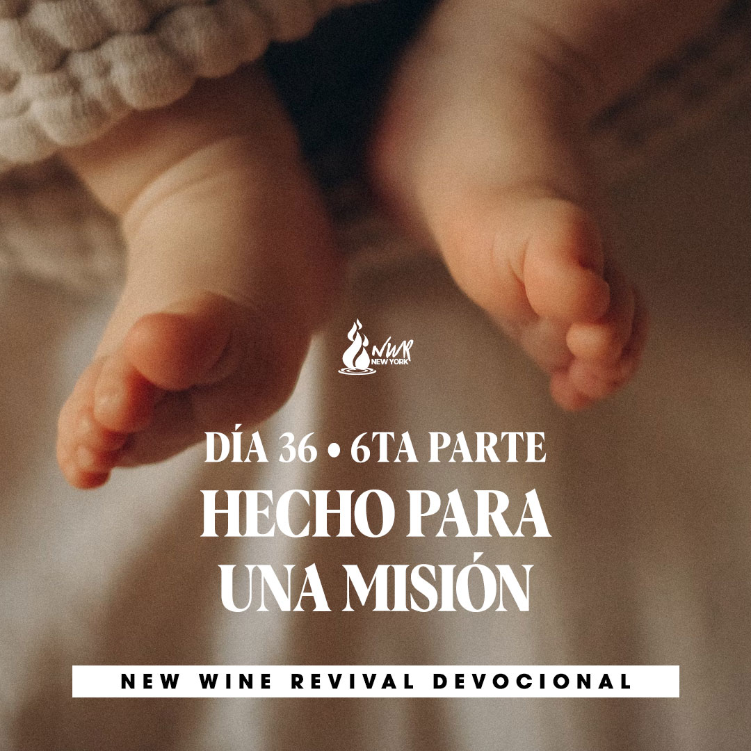 Read more about the article DÍA 36/Sexta parte – Hecho para una misión