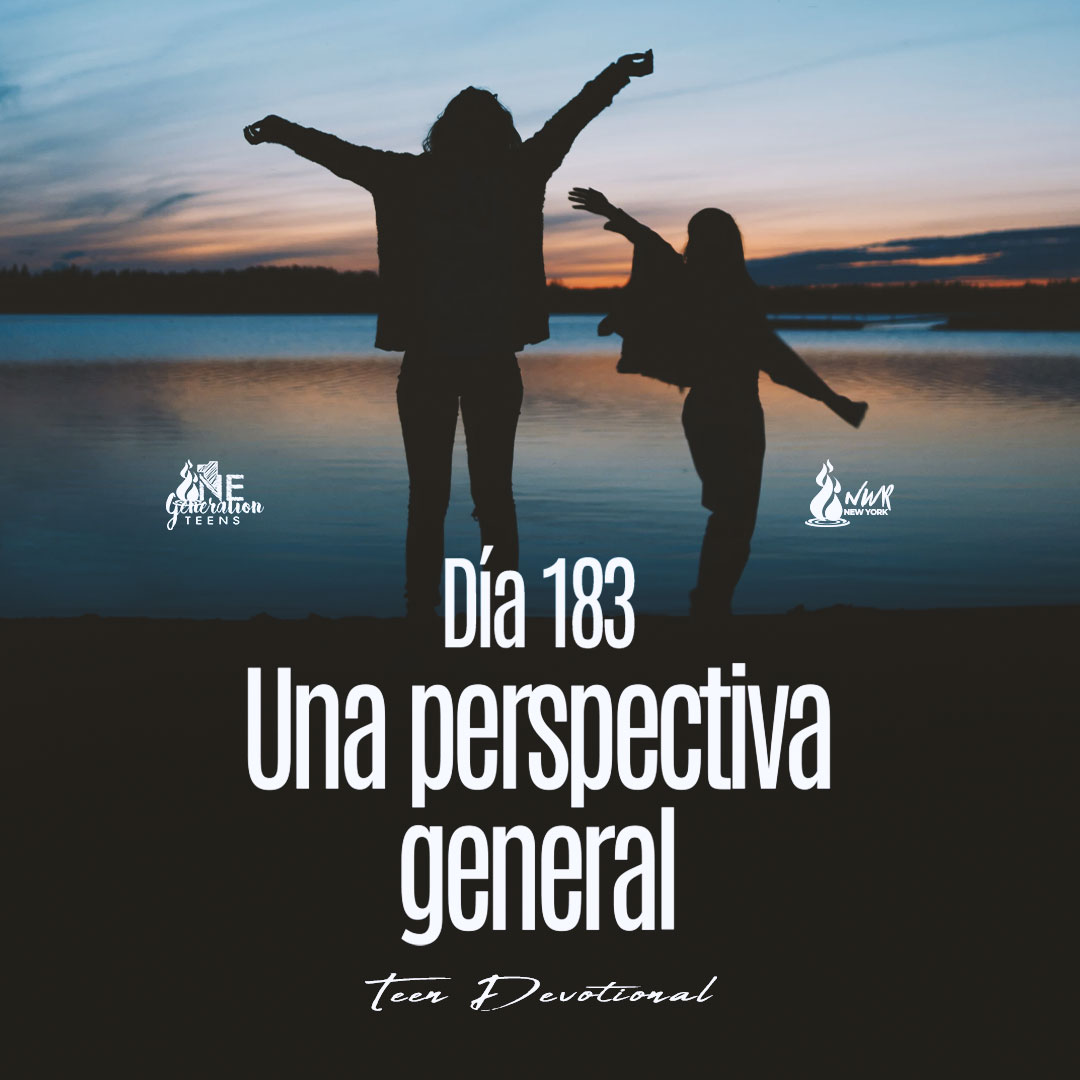 Read more about the article DÍA 183 • Una perspectiva general