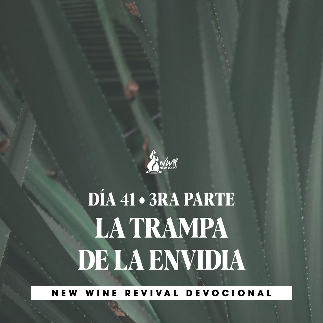 Read more about the article DÍA 41  •  3ra Parte – La trampa de la envidia