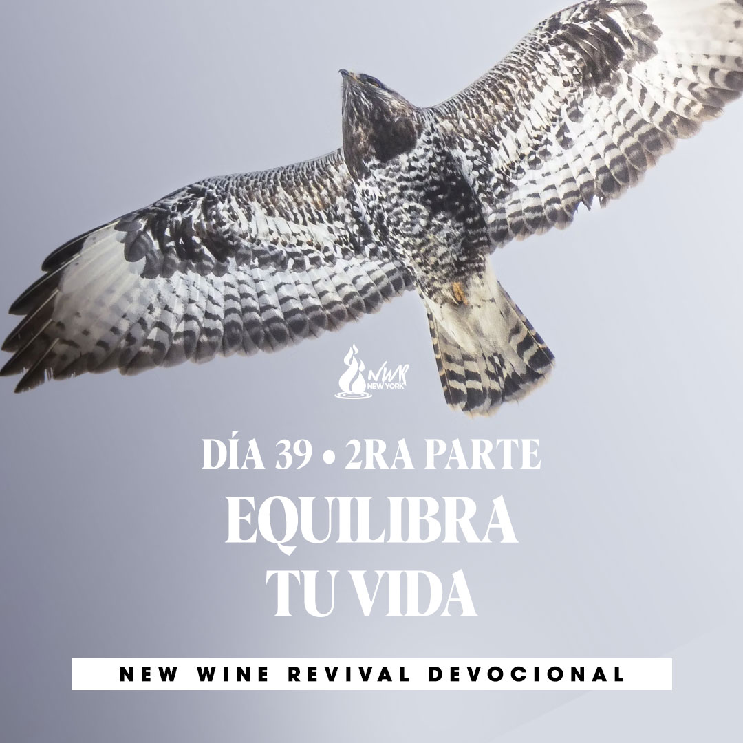 Read more about the article DÍA 39/Tercera parte – Equilibra tu vida
