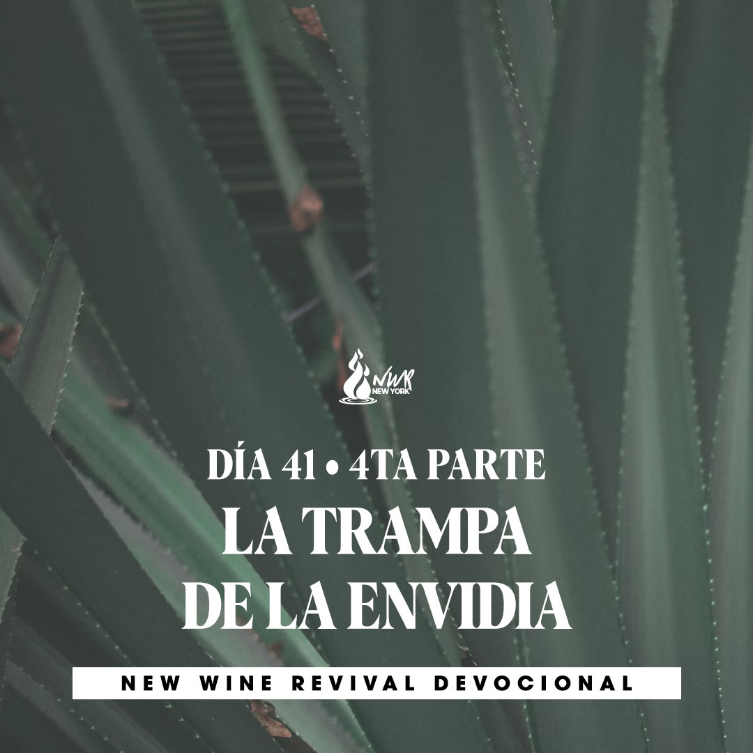 Read more about the article DÍA 41  •  4ta Parte – La trampa de la envidia