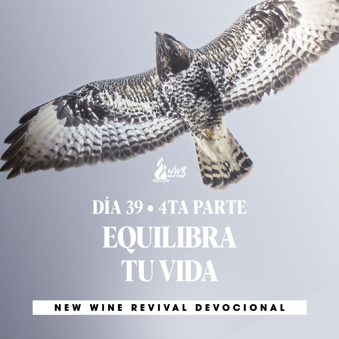 Read more about the article DÍA 39/Cuarta parte – Equilibra tu vida