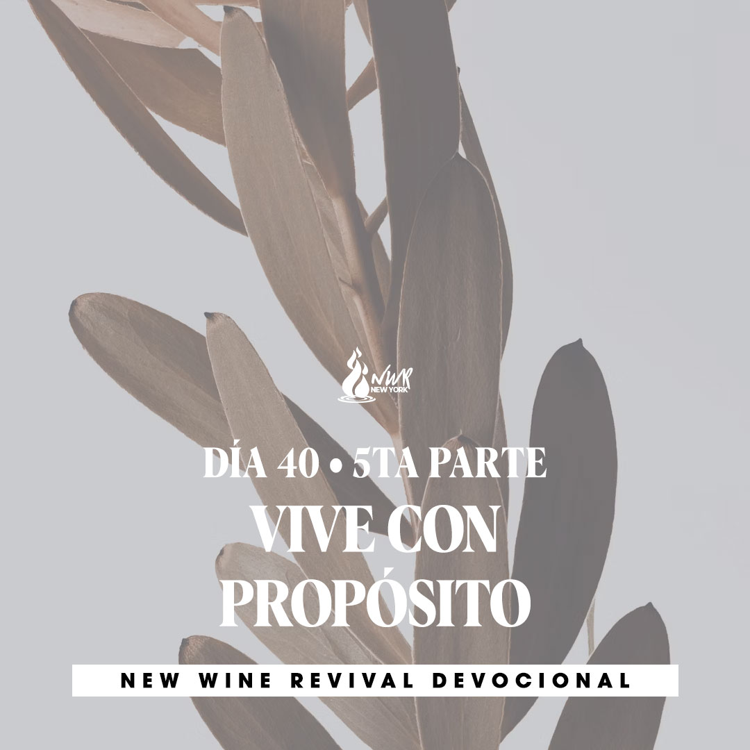 Read more about the article DÍA 40 • 5ta Parte – Vive con propósito