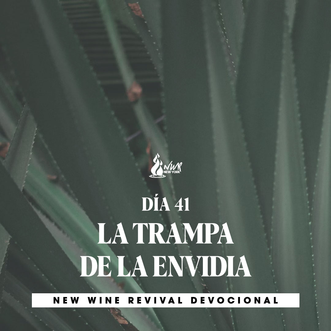 Read more about the article DÍA 41  •  La trampa de la envidia