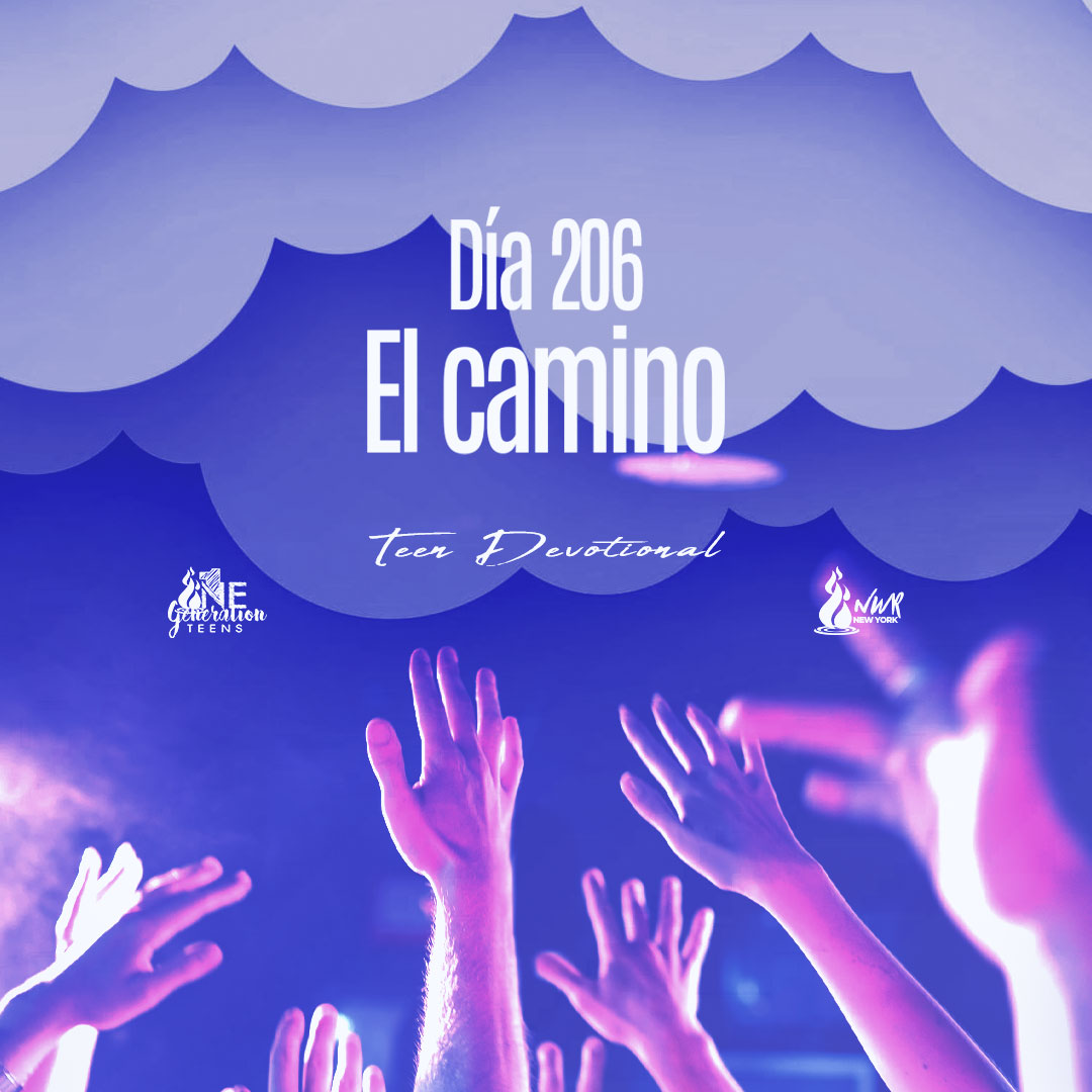 Read more about the article DÍA 206 • El camino