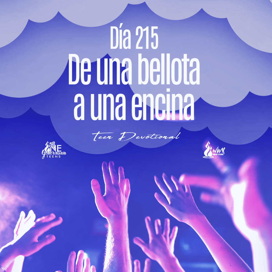 Read more about the article DÍA 215 • De una bellota a una encina