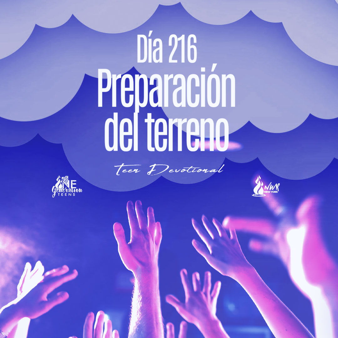 Read more about the article DÍA 216 • Preparación del terreno