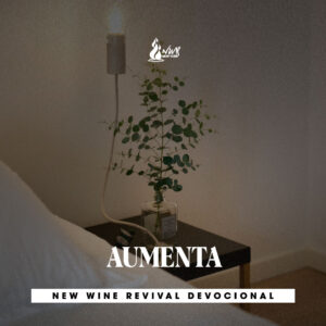 Read more about the article 27May – AUMENTA
