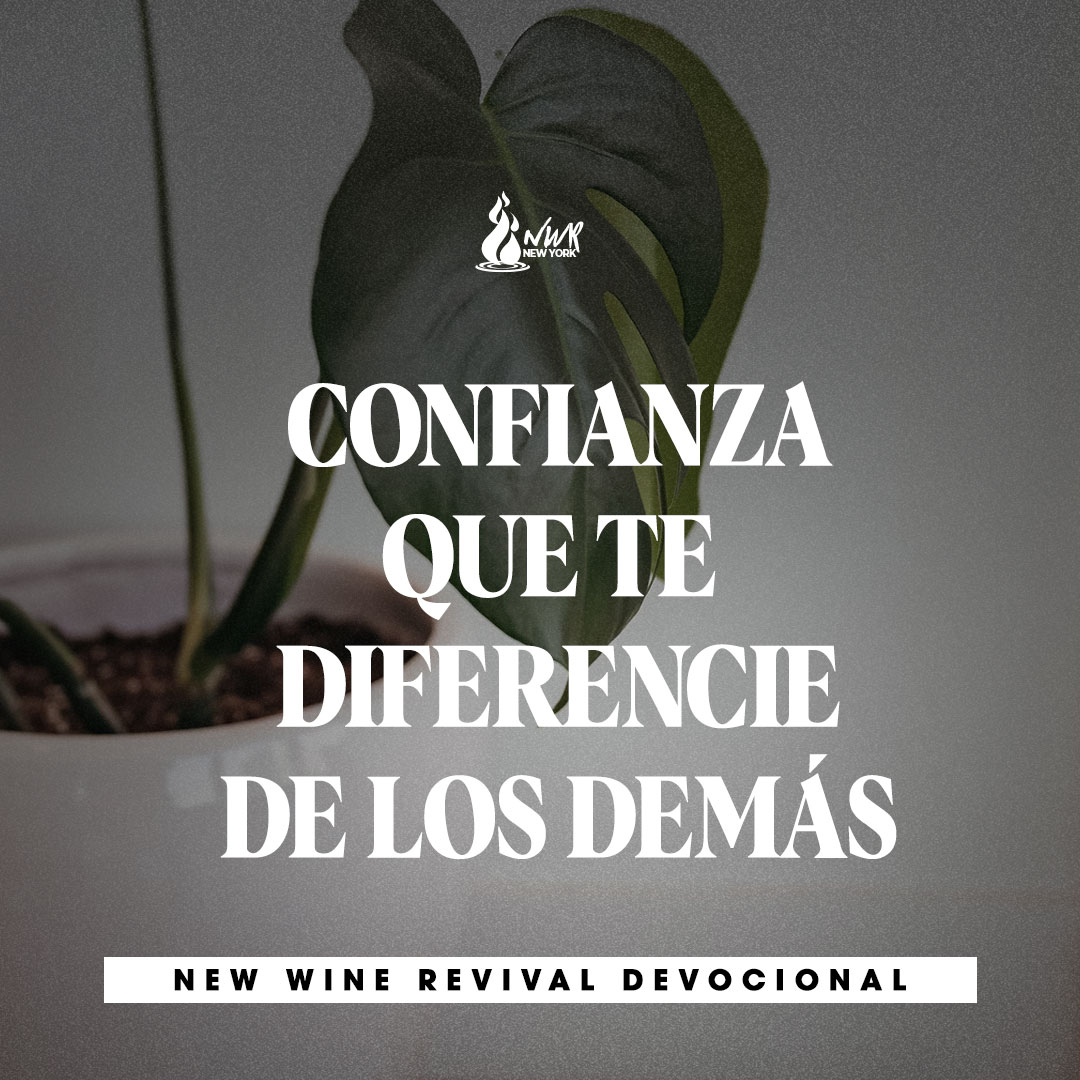 Read more about the article CONFIANZA QUE TE DIFERENCIE DE LOS DEMÁS