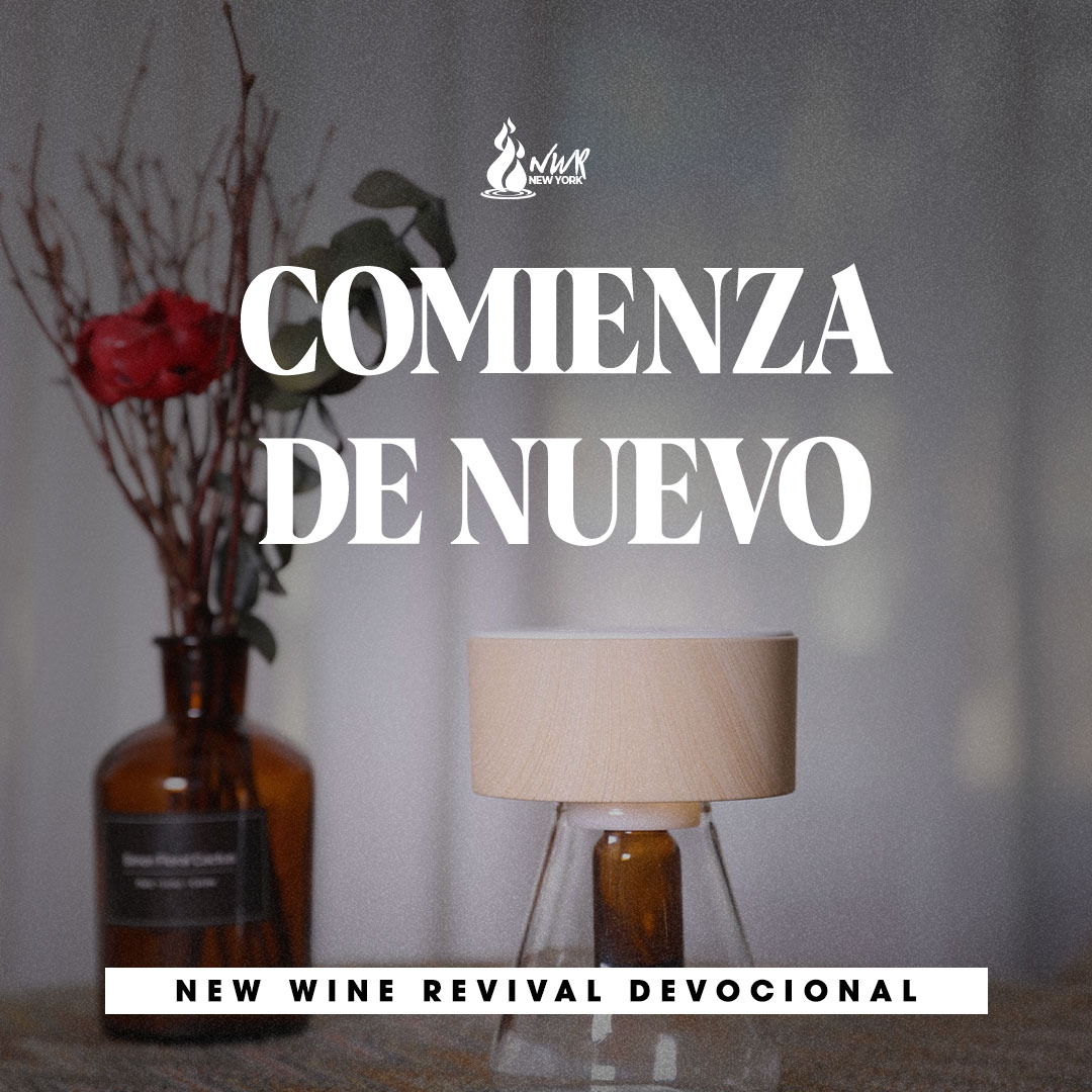 Read more about the article COMIENZA DE NUEVO