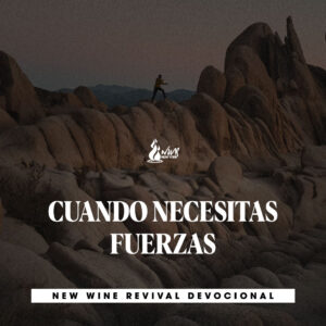 Read more about the article 22May – CUANDO NECESITAS FUERZAS