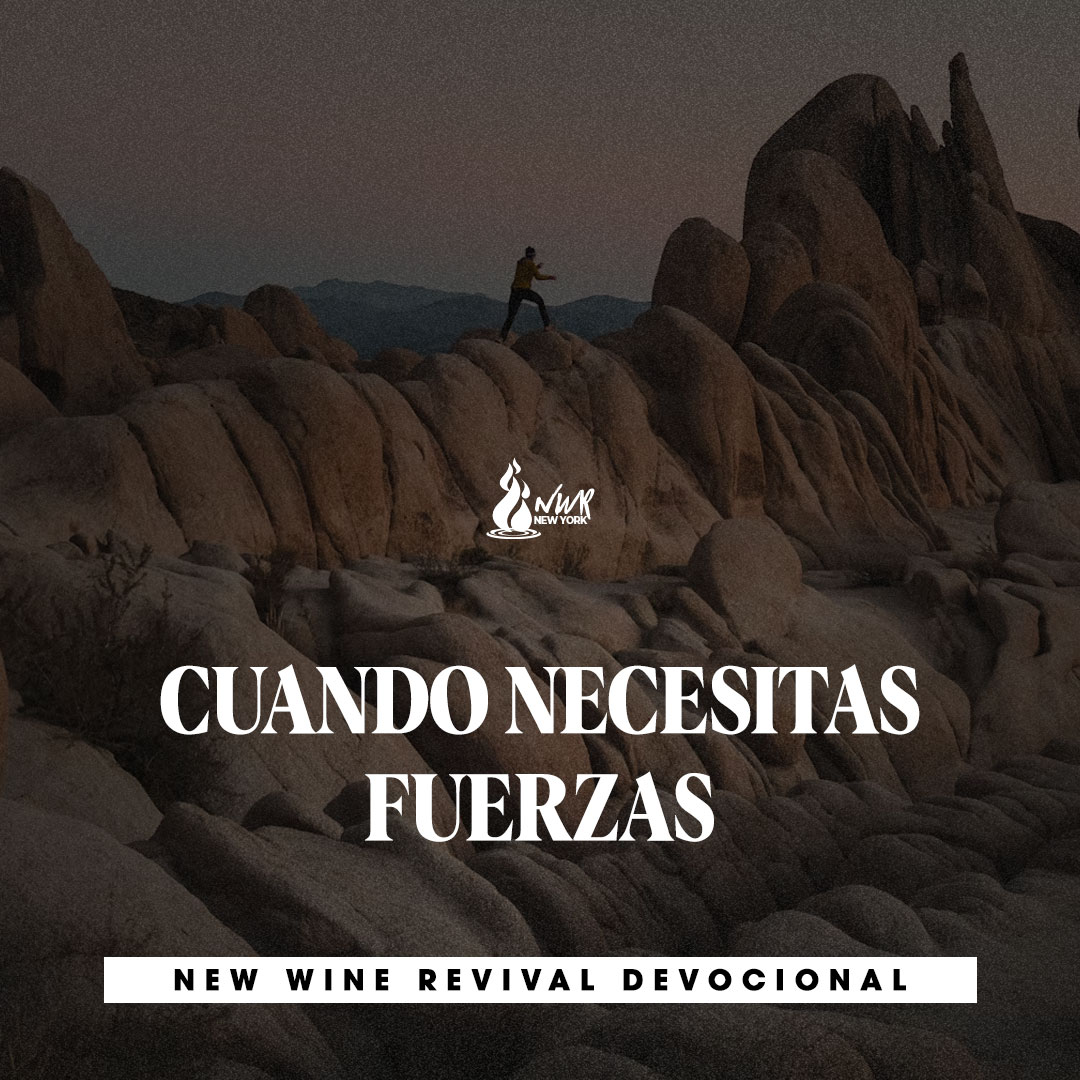 Read more about the article CUANDO NECESITAS FUERZAS