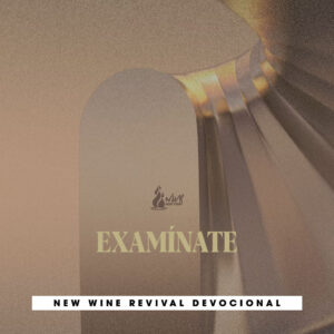 Read more about the article 04jUN – EXAMÍNATE