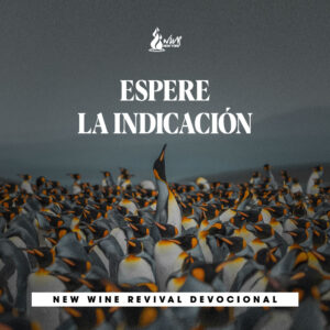 Read more about the article 21May – Espere la indicación