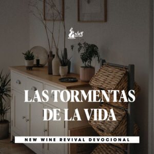 Read more about the article 30May – LAS TORMENTAS DE LA VIDA