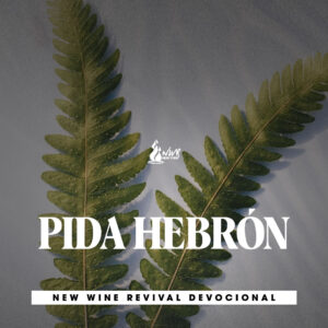 Read more about the article 20May – Pida Hebrón