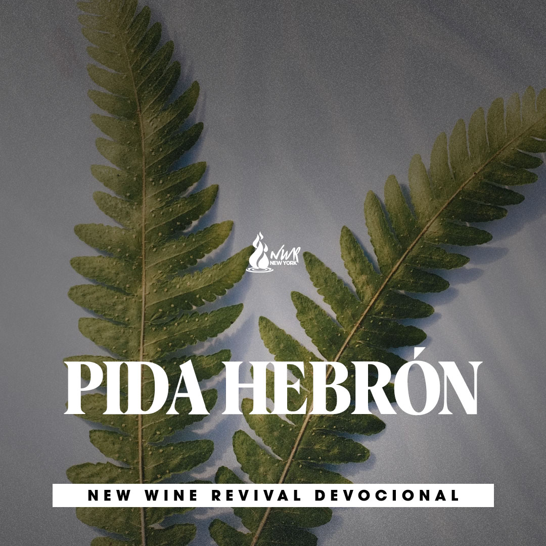 Read more about the article Pida Hebrón