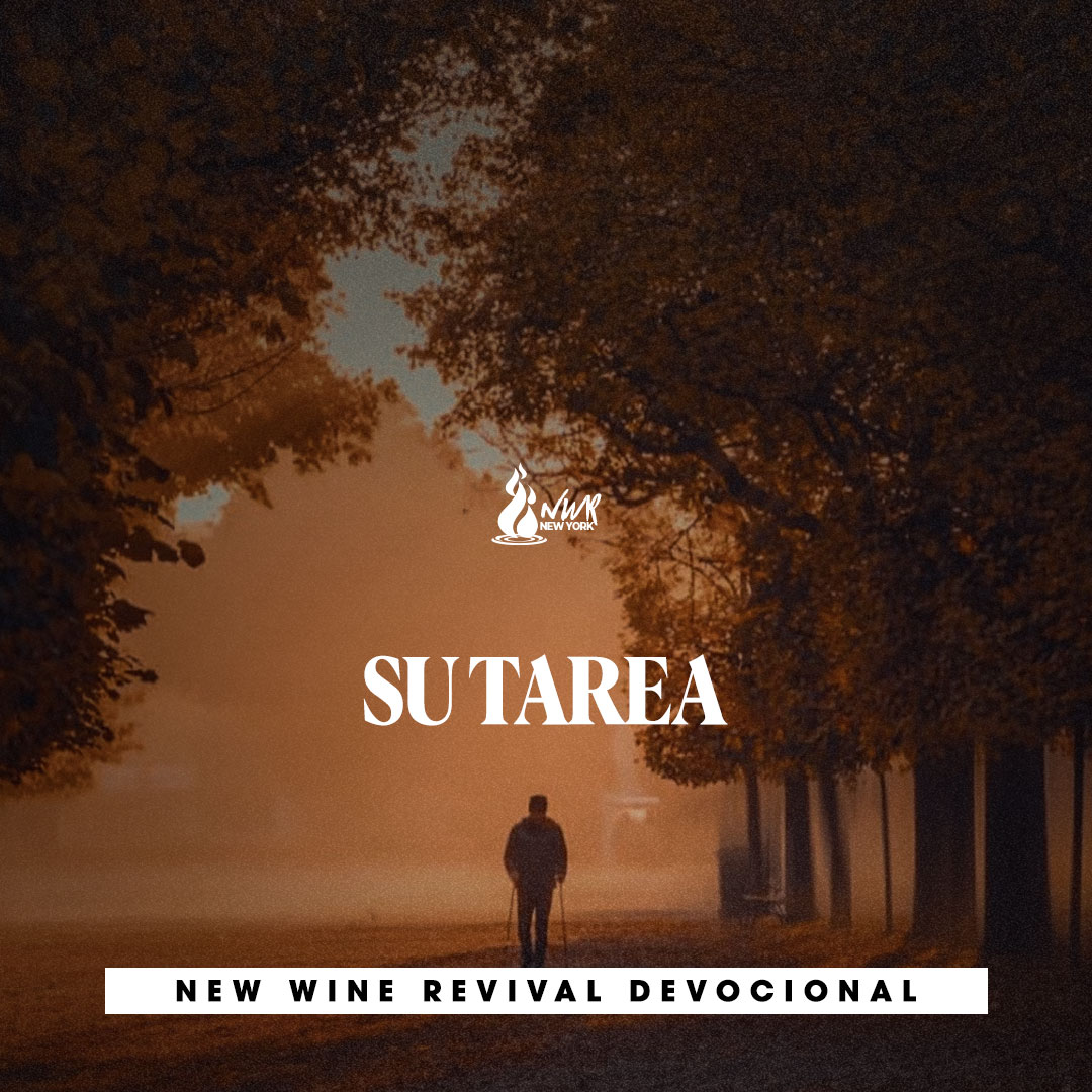 Read more about the article Su Tarea
